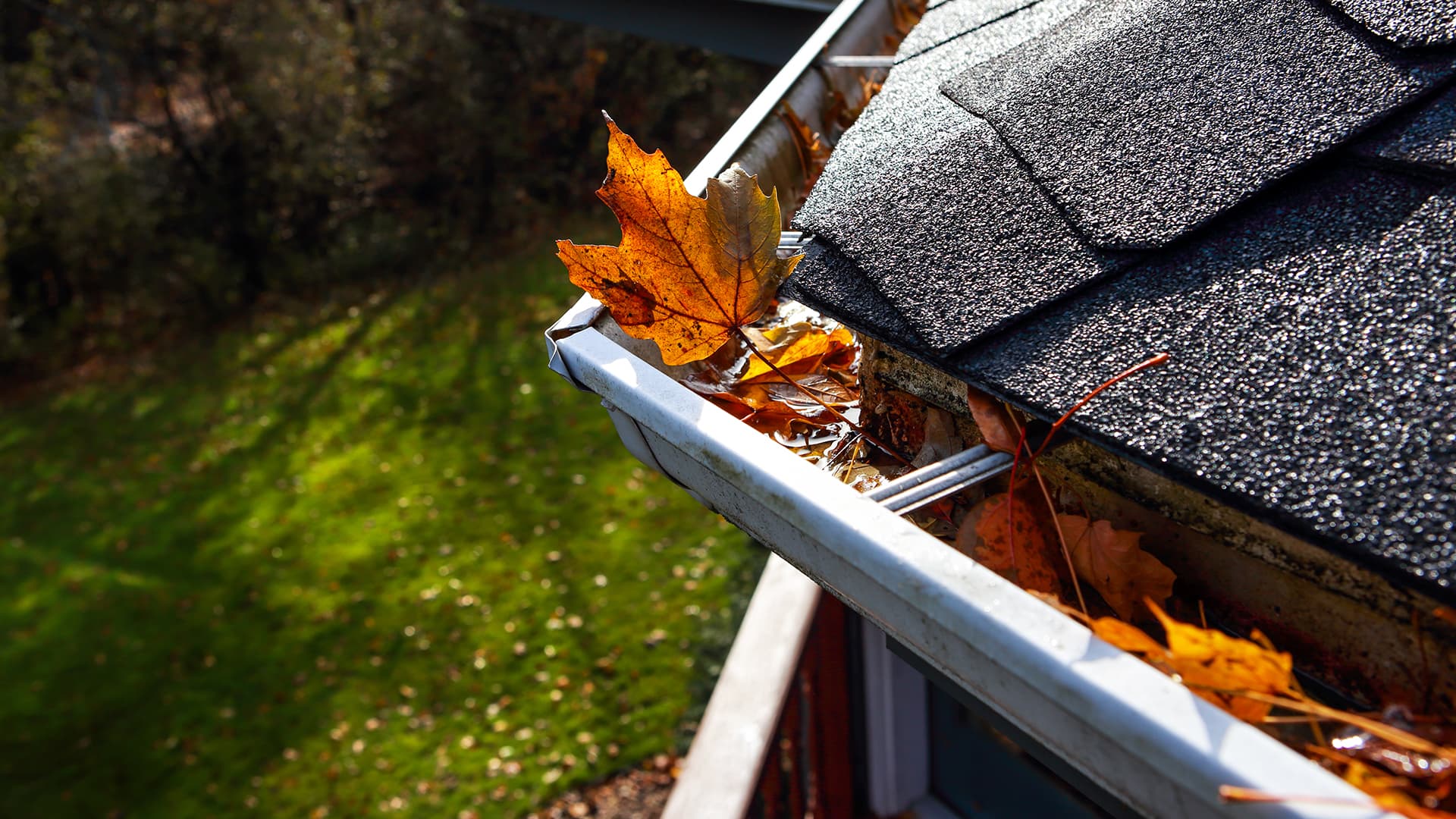Gutter Cleaning