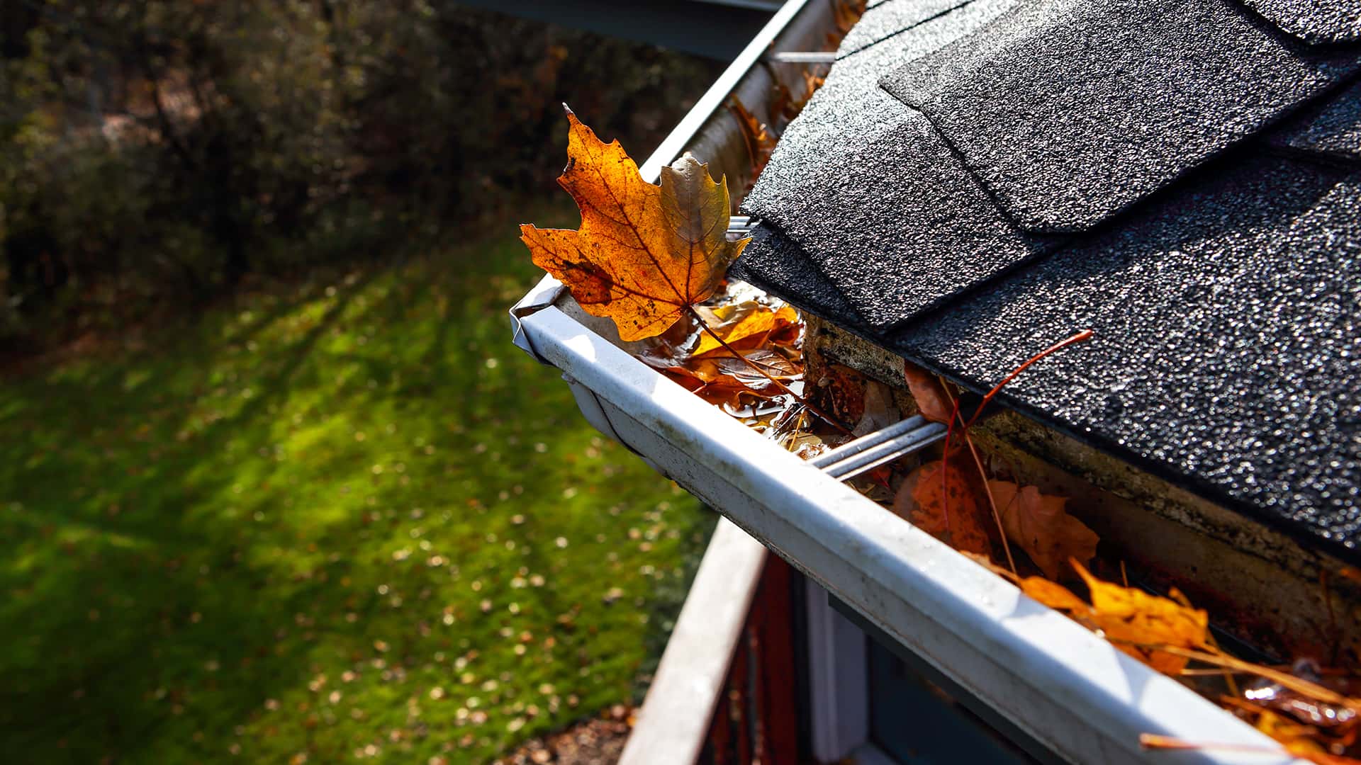 Gutter Cleaning